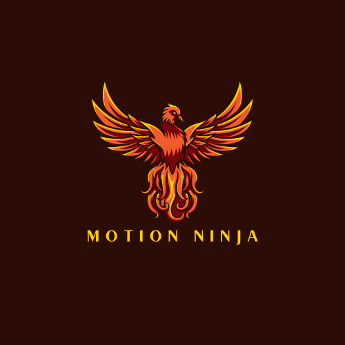 motion ninja